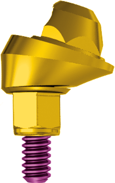 17° Angulated Conical Abutment H 2.5 JDEvolution S