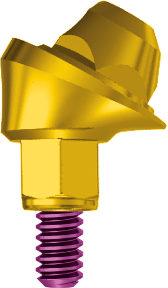 30° Angulated Conical Abutment H 2.5 JDEvolution 