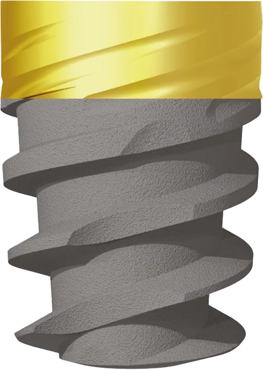 Implant dentar JD Evolution Plus cu guler anodizat, Ø4,3 mm, L6 mm — JDentalCare