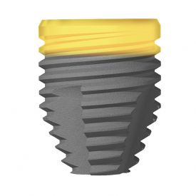 Implant Anodizat  Icon+5.0/6
