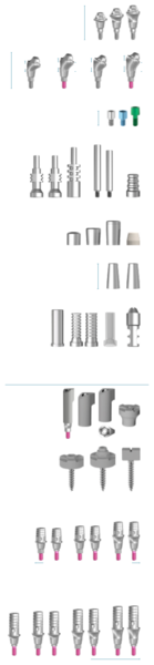 angulat 17° H 2.5 pentru bont conic — JDNeX